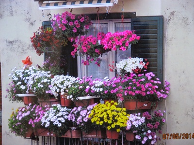 Boscotrecase in fiore: ecco i vincitori del 2014