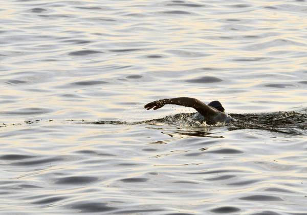 Cerca di rubare un motorino. Scoperto, fugge a nuoto