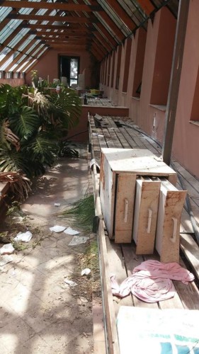 10352991_582012515242498_6771292720887818523_n