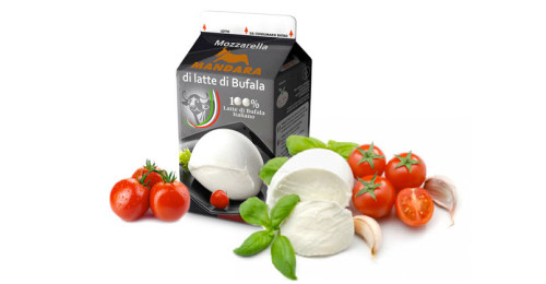 mandara, buffalo mozzarella making mix