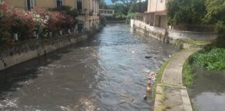 seconda foce