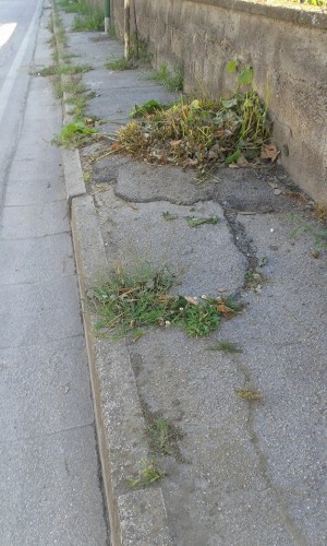 strada cappella bisi