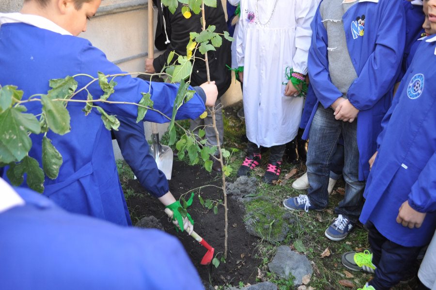albero leopardi (11)