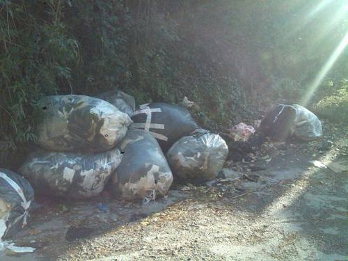 10891818_1545484029032758_1313936122893842125_n