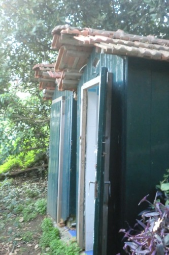 servizi nel bosco!!! (1)