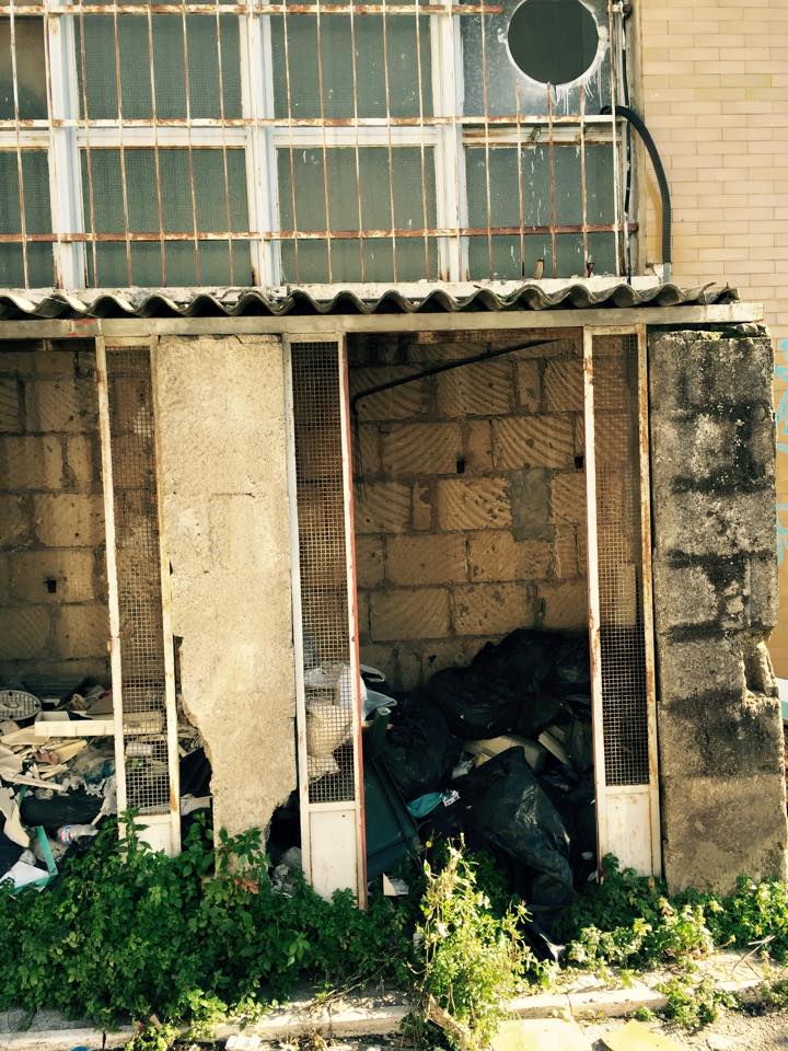 11001776_10203149166401696_1490021245714104297_n