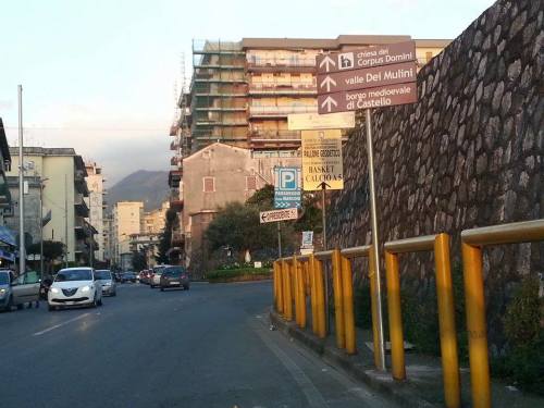 11185859_10206716239687060_55555305_n