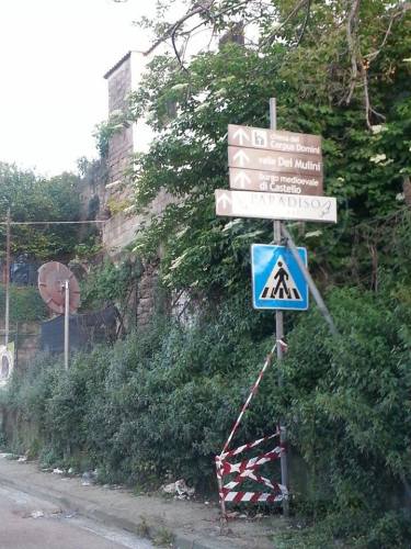 11208861_10206716239727061_1902631196_n