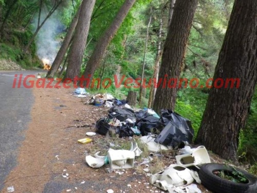 quisisana_rogo_rifiuti (1)