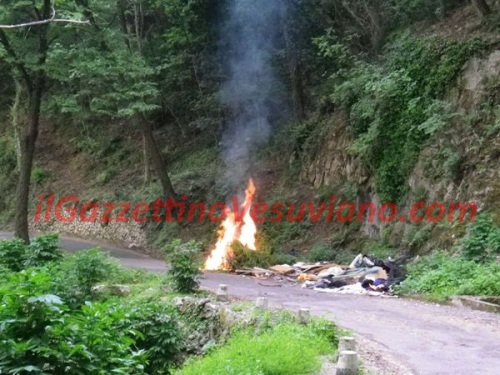 quisisana_rogo_rifiuti (3)