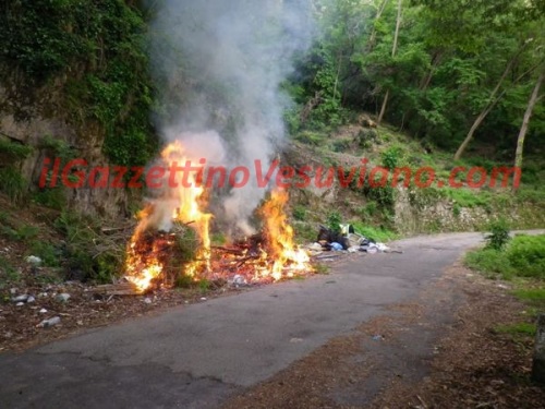 quisisana_rogo_rifiuti (4)