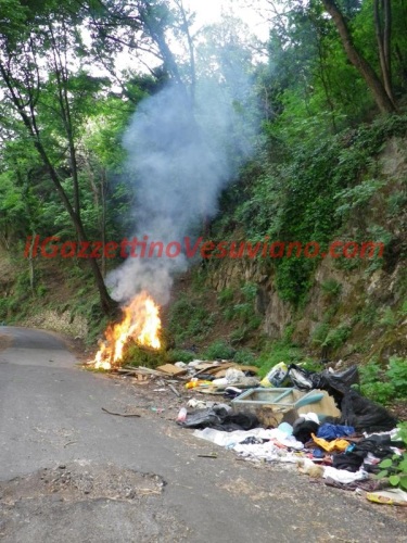 quisisana_rogo_rifiuti (5)