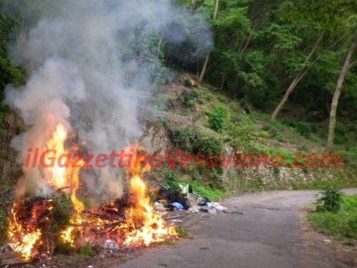 quisisana_rogo_rifiuti (7)