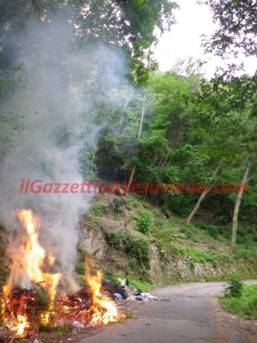 quisisana_rogo_rifiuti (8)