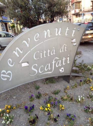 scafati