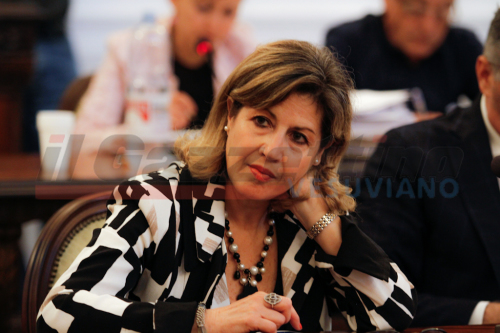 mariarita auricchio; consiglio comunale castellammare di stabia ;vice-sindaco