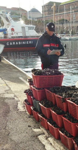 21.11.2015 - I CC RIEPILOGANO I SEQUESTRI 2