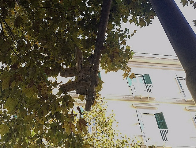 Napoli, “al Vomero le telecamere sono puntate sugli alberi!”