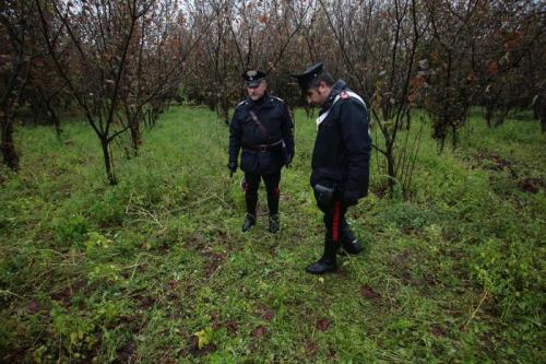 Uomo ucciso a colpi d'arma da fuoco nel Napoletano
