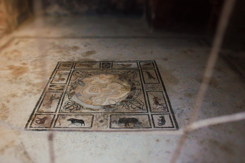 IMG_5067 (2) (800x533)