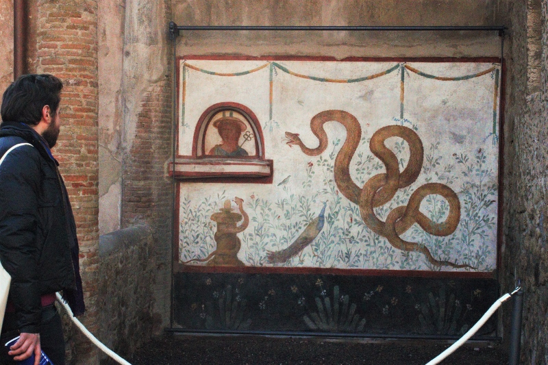 IMG_5135 (modificata (800x533) (800x533)