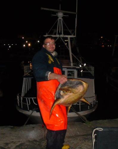 12513603_924926490931069_8707156237520111078_o