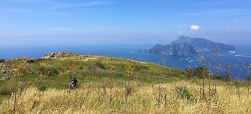 punta campanella