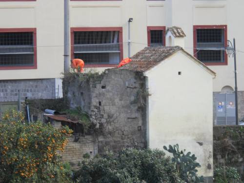 12716426_10205749618955726_1065476706119369881_o