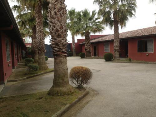 413753_163784010449191_375946042_o