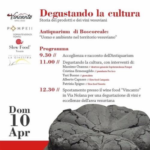 Infografica Degustando la Cultura