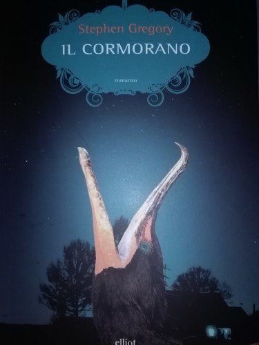 il cormorano
