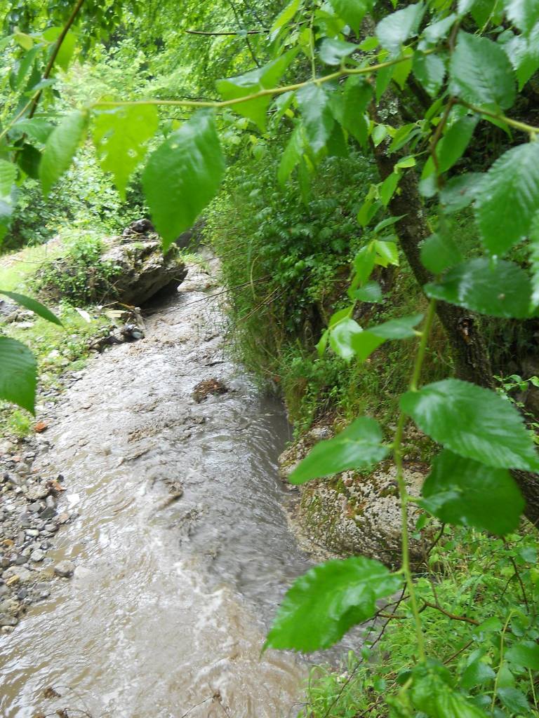 13036385_10206271269516664_70191155_o