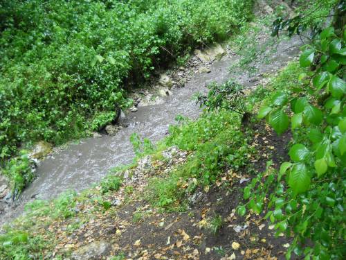 13054866_10206271257636367_607322098_o