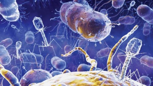 11573120-kMuB-U10401770098639pAF-700x394@LaStampa.it