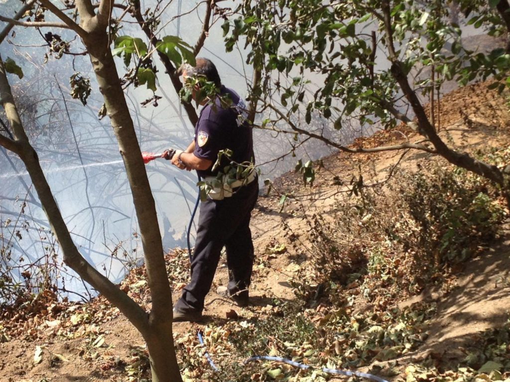 14152117_1591557107807424_1214320556_o