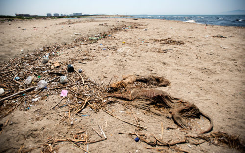 castel-volturno-foce-del-regi-lagni_28898626856_o