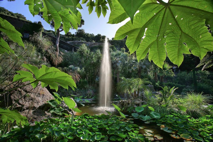 Ischia, ai Giardini la Mortella proseguono le rappresentazioni di “Sogno di una notte di mezza estate”
