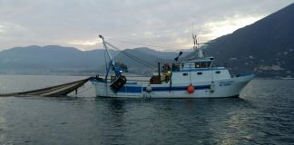 Pescava con attrezzi non consentiti e in area protetta: sequestrati 20 kg di prodotti ittici