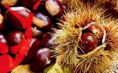 castagna-slow-food