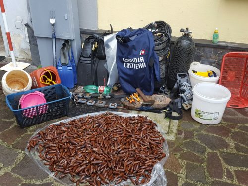 datterari-stabia-capitaneria-2