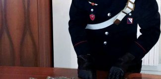 pomigliano