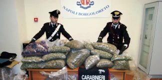 Napoli, Quartiere Pendino: Carabinieri sequestrano 55 chili di marijuana marijuana