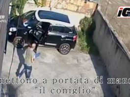 estorsioni camorra coniglio 1