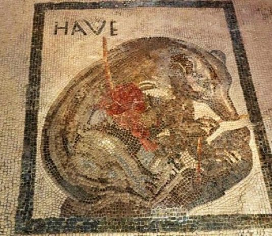 scavi di pompei Orso ferito