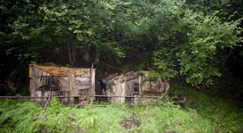 violenza sessuale pimonte