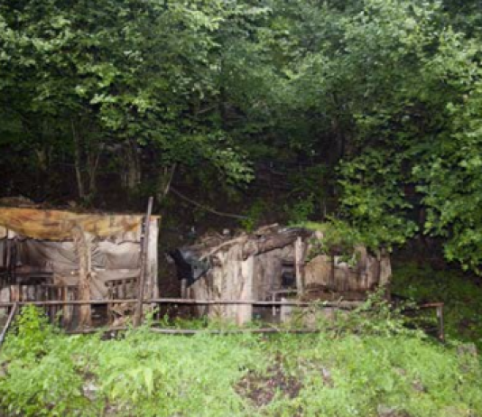 violenza sessuale pimonte