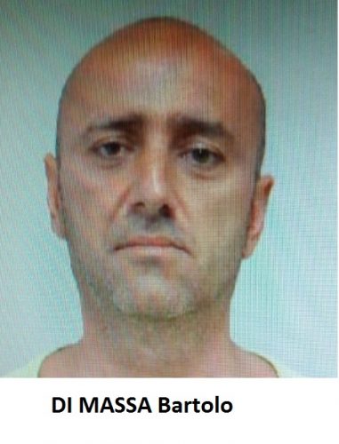 bartolo di massa