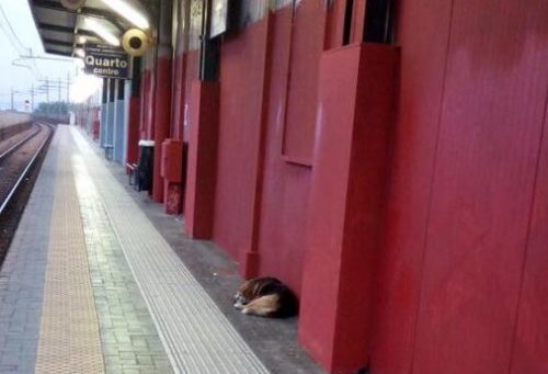 minacce a umberto de gregorio 1