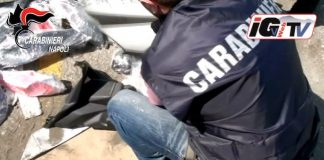 moto rubate africa carabinieri