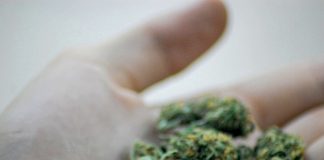 marijuana